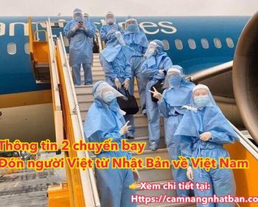 Thông tin 2 chuyến bay đón người Việt ở Nhật Bản về Việt Nam