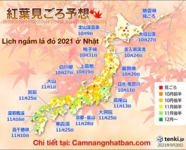 Cập nhật lịch ngắm lá đỏ ở Nhật Bản năm 2021
