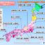 Cập nhật lịch ngắm hoa anh đào ở Nhật Bản năm 2022 mới nhất
