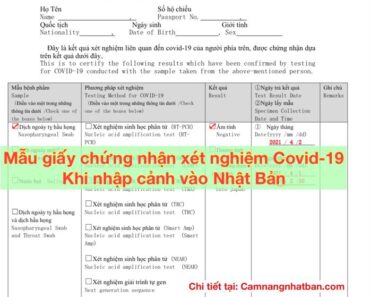 Mẫu giấy chứng nhận xét nghiệm Covid-19 Khi nhập cảnh vào Nhật Bản Tiếng Việt-Anh
