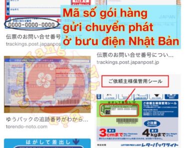 Hướng Dẫn cách Kiểm Tra Tình Trạng Bưu Phẩm Gửi 4 công ty Chuyển Phát Nhanh ở Nhật Bản