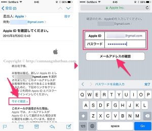 Mail xác nhận Apple ID itune Nhật Bản