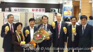Ra mắt bán xoài Việt Nam trong siêu thị Nhật Bản