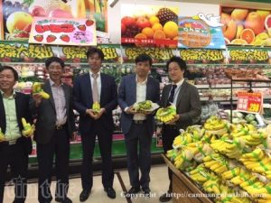 Giới thiệu chuối Việt Nam trong siêu thị Nhật Bản