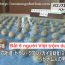 Bắt 6 người Việt ăn trộm 110 quả dưa ở Chiba Nhật Bản