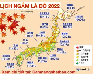 Cập nhật Lịch ngắm lá đỏ đẹp ở Nhật Bản năm 2022