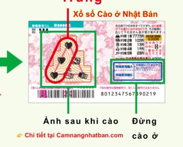 Hướng Dẫn Chơi Xổ Số Cào Tại Nhật Bản: Cách Thức, Mua Vé Và Kiểm Tra Kết Quả luôn