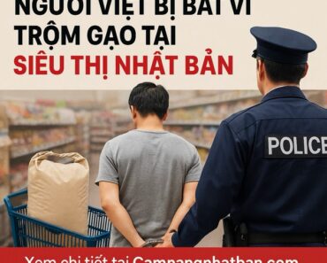 Người Việt Bị Bắt Vì Trộm Gạo Tại Siêu Thị Nhật Bản – Mở rộng điều tra Người Việt Bị Bắt Vì Trộm Gạo Tại Siêu Thị Nhật Bản – Mở rộng điều tra