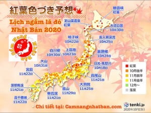 Cập Nhật Lịch ngắm lá đỏ ở Nhật Bản năm 2020.