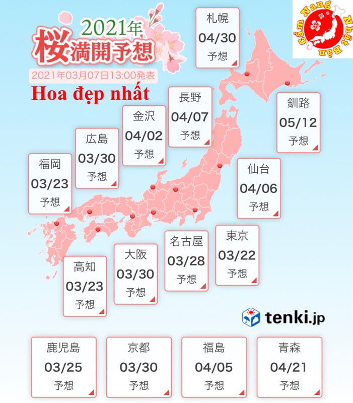 Dự báo thời gian hoa anh đào nở rộ nhất ở Nhật Bản 2021.