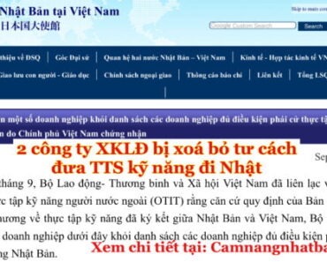 Chú Ý: 2 công ty XKLĐ Việt bị xoá bỏ tư cách phái cử đưa TTS Kỹ Năng đi Nhật