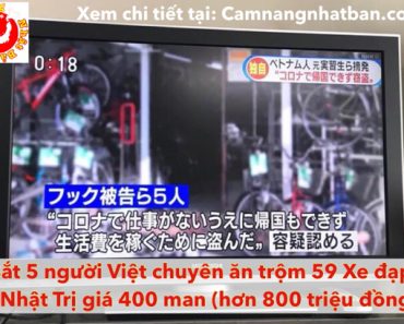 Nhật Bản: Bắt nhóm 5 người Việt ăn trộm 59 xe đạp điện, trị giá hơn 800 triệu