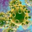 Bệnh dịch virus Corona Vũ Hán hoạt động ra sao? Cách phòng hiệu quả nhất