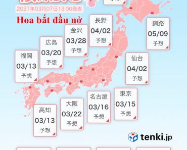 Cập nhật lịch ngắm hoa anh đào ở Nhật Bản năm 2021 mới nhất