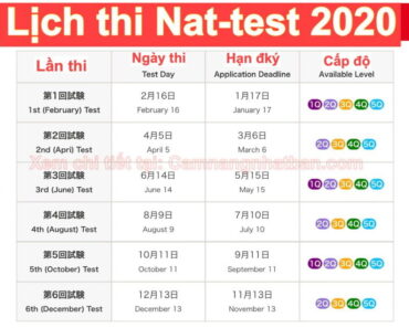 Lịch thi Nattest năm 2020 Hạn đăng ký Xem điểm thi