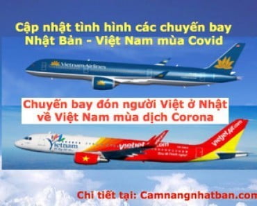 Các chuyến bay đưa người Việt từ Nhật Bản về nước tháng 7, 8