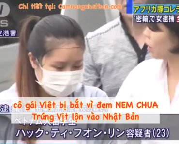 DHS Việt Nam bị bắt vì đem Nem Chua Trứng Vịt Lộn vào Nhật Bản