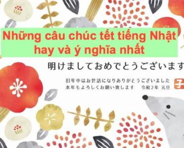 Những câu chúc tết bằng tiếng Nhật Hay và Ý Nghĩa nhất năm 2024 Những câu chúc tết bằng tiếng Nhật Hay và Ý Nghĩa nhất năm 2024
