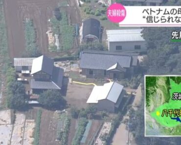 NHK phỏng vấn mẹ TTS Việt nghi phạm vụ giết người ở Ibaraki