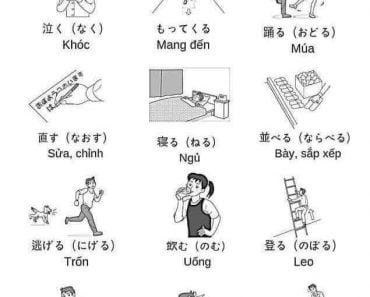 Tổng hợp những động từ tiếng Nhật thông dụng bằng hình ảnh