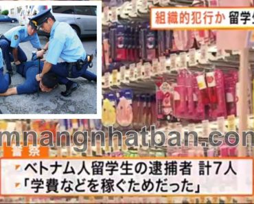 Cảnh sát Nhật bắt nhóm 7 DHS Việt Nam ăn trộm lượng lớn mỹ phẩm nhiều lần