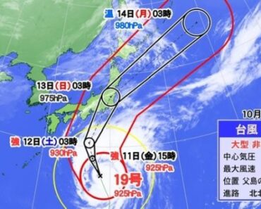 Cập nhật siêu bão số 19 tiến vào Nhật Bản và thông tin giao thông