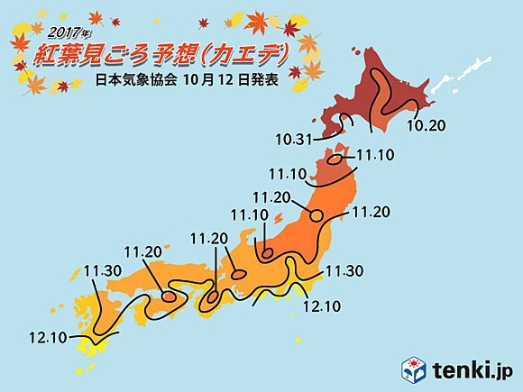 Lịch ngắm lá đỏ ở Nhật Bản năm 2017 đẹp nhất