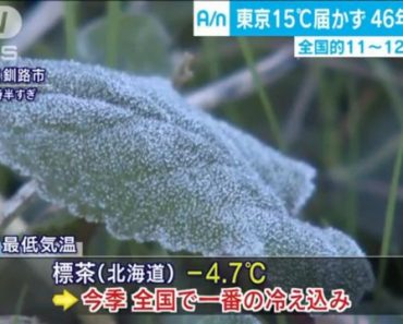 Mùa thu Nhật Bản lạnh nhất 46 năm trở lại đây