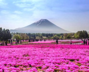 Hướng dẫn xin visa du lịch “bụi” Nhật Bản đầy đủ chi tiết