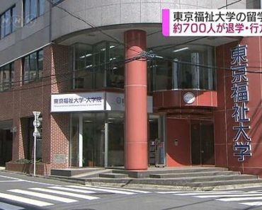 Nhật Bản: Một trường đại học có 700 du học sinh bỏ học, bỏ trốn