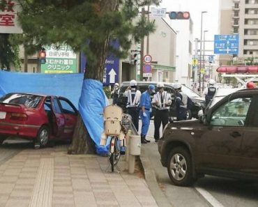 Nhật Bản: Cụ bà 90 tuổi lái xế hộp tông vào người đi đường