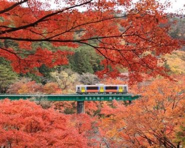 Những chuyến tàu mang mùa thu cổ tích về Nhật Bản