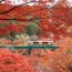 Những chuyến tàu mang mùa thu cổ tích về Nhật Bản