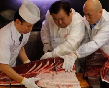 Cận cảnh con cá ngừ có giá kỷ lục hơn 250 triệu đồng/kg ở Nhật Bản