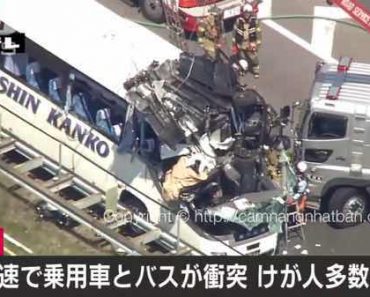 Tai nạn xe buýt kinh hoàng trên cao tốc ở Nhật làm 26 người bị thương