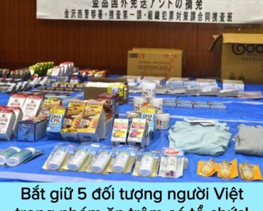 Nhật Bản bắt nhóm 5 người Việt ăn trộm có tổ chức