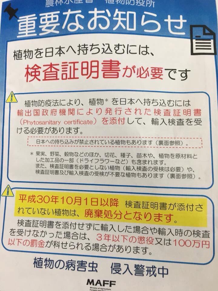 Thông báo của hải quan Nhật Bản về việc phạt người vi phạm