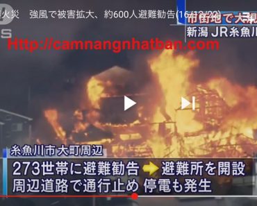 Cháy kinh hoàng ở Nhật Bản 140 căn hộ bị thiêu rụi