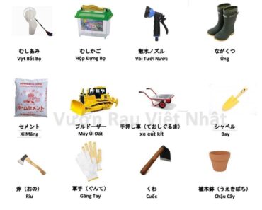 Từ vựng tiếng Nhật về dụng cụ làm vườn và rau củ quả ở Nhật Bản