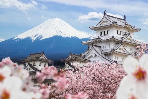 Nhật Bản sẽ cho phép những người đi du lịch có lịch trình và hướng dẫn viên cố định quay trở lại vào 10/6