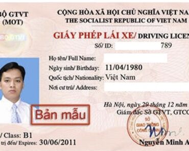 Tổng hợp các loại bằng lái xe Ô Tô, Xe Máy ở Việt Nam