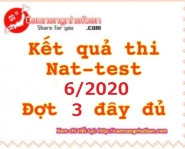 Kết quả thi Nat-test tháng 6/2020 lần 3 Đầy đủ nhất 1Q 2Q 3Q 4Q 5Q