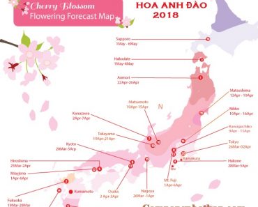 Lịch ngắm hoa Anh đào đẹp nhất ở Nhật Bản năm 2018