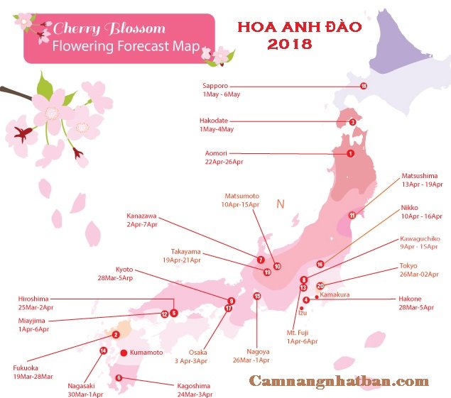 Lịch ngăm hoa anh đào ở Nhật Bản năm 2018