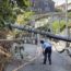 Một số thành phố ở Nhật vẫn bị mất điện sau bão Số 15
