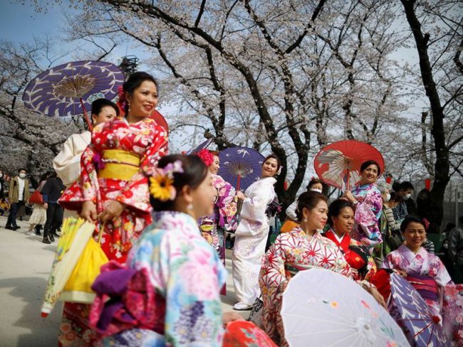 người Nhật vẫn tập trung đông ngắm hoa anh đào khi có dịch Corona