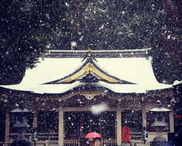 Nhìn lại Tokyo đẹp đến nao lòng dịp tuyết đầu mùa