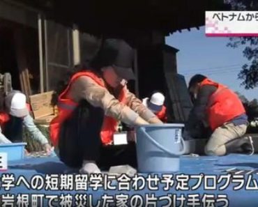 Truyền hình Nhật Bản khen ngợi du học sinh Việt tham gia cứu trợ sau siêu bão