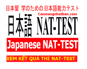 Xem kết quả thi Nat-Test lần 6 tháng 12 năm 2017